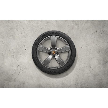 TALVERATTAD 20" CAYENNE E3 SPORT CLASSIC PLATINUM rehviga Michelin Pilot Alpin 5 275/45 ZR20, 305/40 ZR 20